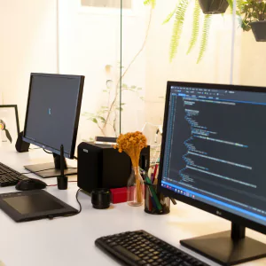 Low Price Digital Marketing Company